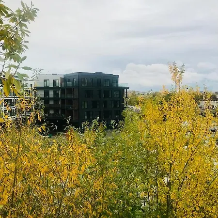 Hingega Korter Kesklinnas “kalamaja”mere Aares. *